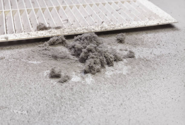 Best Residential Air Duct Cleaning  in Sterling, CO