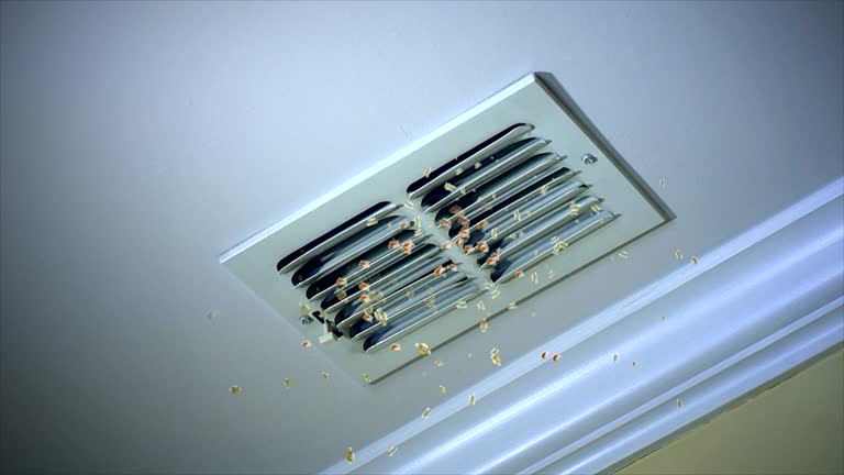Best Air Duct Cleaning Near Me in CO